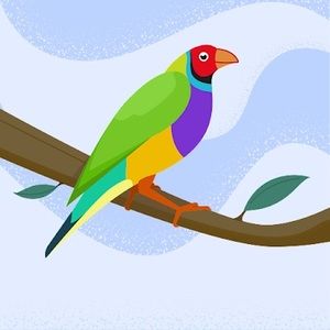 Meet your Posher, Pixie